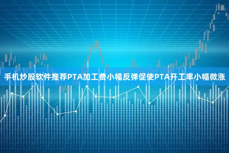 手机炒股软件推荐PTA加工费小幅反弹促使PTA开工率小幅微涨