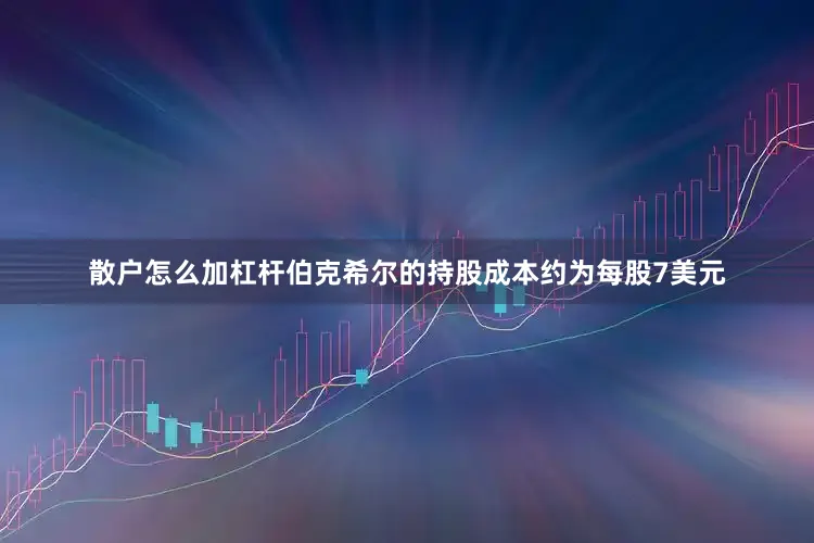 散户怎么加杠杆伯克希尔的持股成本约为每股7美元