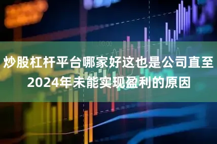 炒股杠杆平台哪家好这也是公司直至2024年未能实现盈利的原因