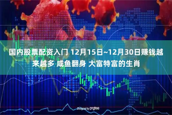 国内股票配资入门 12月15日~12月30日赚钱越来越多 咸鱼翻身 大富特富的生肖